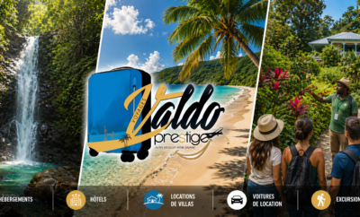 GUADELOUPE REIMAGINÉE!!